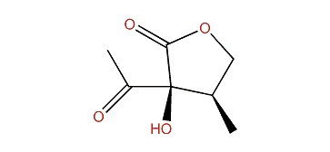 (3S,4R)-3-Acetyl-dihydro-3-hydroxy-4-methylfuran-2(3H)-one